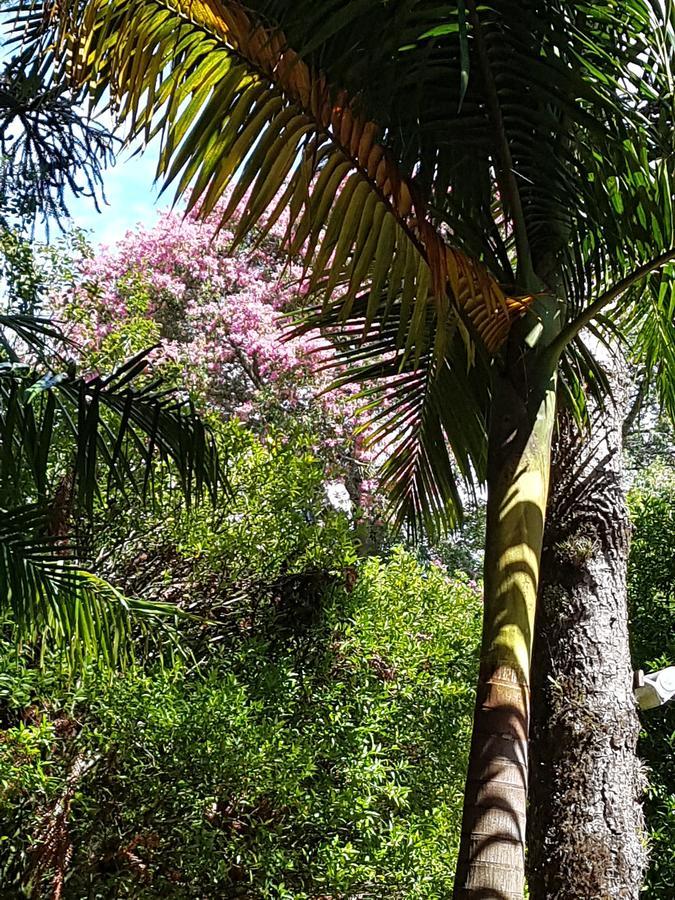 Refugio Da Natureza São Francisco de Paula Zewnętrze zdjęcie